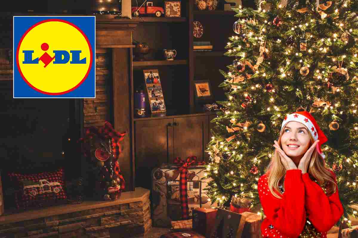 LIDL porta il Natale in anticipo: valanga di addobbi unici per casa e giardino a prezzi da record